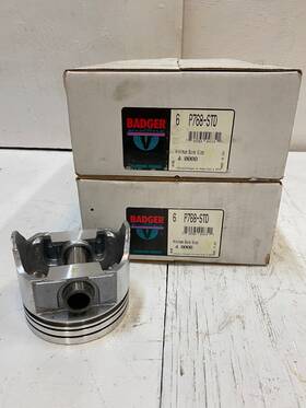 Badger P768 12 Pistons Std 4 Inch Bore Size P768-std 2 Pack Of 6