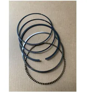 2410 Bmp 667164904386 Piston Ring Set For Troy Bilt Storm Snow Blower