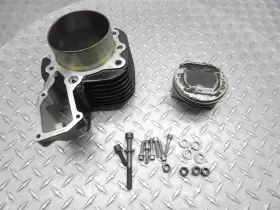 7673573 Bmw 2006 05-06 R1200 R1200rt Left Cylinder Barrel Jug Piston Engine Motor Oem