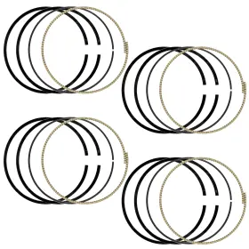 Pr214a1004vs Caltric Cylinder Piston Rings For Kawasaki Ninja Zx-12r 2000-06 Versys 650 Kle650 07-22