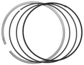 88-4158 Cp-carrillo Cp7600c Ring Set - 77.00mm