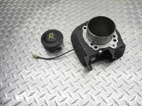 Ducati 12022912ab 2020 20 Scrambler 800 Desert Sled Vertical Piston Rear Cylinder Barrel