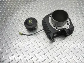 12022912ab Ducati 2020 20 Scrambler 800 Desert Sled Vertical Piston Rear Cylinder Barrel