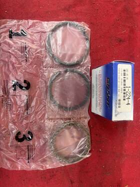 Grant P1173.040 Piston Rings Size 040