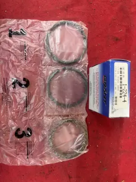 P1173.040 Grant Piston Rings Size 040
