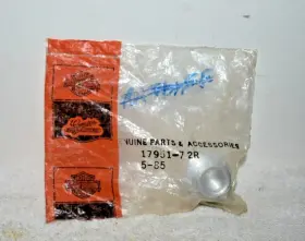 17951-72r Harley-davidson Xr-750 Valve Adjusting Plug P/n H1 17951-72r Harley-davidson Xr-750 Valve Adjusting Plug P/n H1