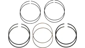 2c5231.25 Hastings Piston Rings 0.01 2c523125