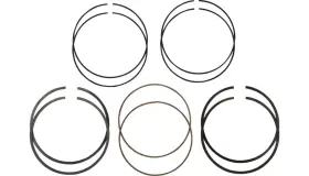 2c5232.25 Hastings Mfg Piston Ring - 0.010
