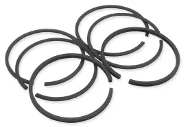 2m7003010 Hastings Moly Ring Set 1000cc - .010 Inch Oversize