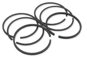 2m7003040 Hastings Moly Ring Set 1000cc - .040 Inch Oversize
