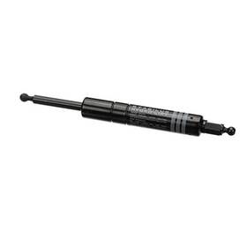 Hillphoenix P063819m Piston 100n