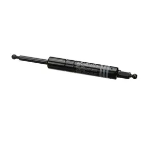 P063819m Hillphoenix Piston 100n