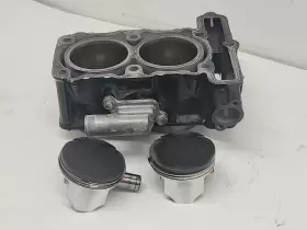 11005-0619 Kawasaki 2014 13-17 Ninja 300 Ex300 Cylinder Barrel Jug Piston Engine Motor Oem