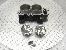 11005-0666 Kawasaki 2022 20-24 Ninja 650 Ex650r Cylinder Barrel Pistons