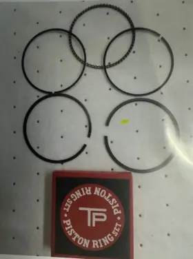13008-5005 Kawasaki Osvp-066 73-77 Kz900 / Z1 Piston Ring Set 4 Oe#