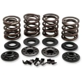 20-20850 Kibblewhite Precision Complete Valve Spring Kit