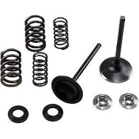 Kibblewhite Precision 30-33250 Stainless Steel Conversion Valve And Spring Kit