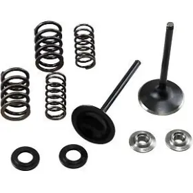 30-33250 Kibblewhite Precision Stainless Steel Conversion Valve And Spring Kit 30-33250 Kibblewhite Precision Stainless Steel Conversion Valve And Spring Kit