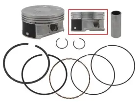 Namura Technologies 758891124816 Ft 0.01 Piston Kit