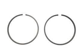 Polaris 0450877 New Oem Piston Ring Kit Nos