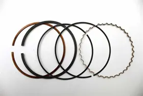 3085380 Polaris Genuine Piston Ring Set 0.25 Pn