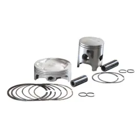 01.4424.b Pro X Piston Kit .010 95.98 Mm