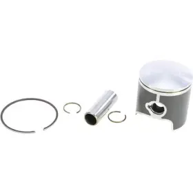 01.6029.c Pro X Piston Kit