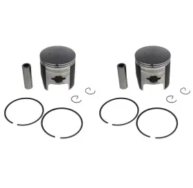 800071 Race-driven 1999-2001 Yamaha Phazer 500 Pz500 Piston Kit X2 0.40 Inch O/s Teflon Coated 800071 Race-driven 1999-2001 Yamaha Phazer 500 Pz500 Piston Kit X2 0.40 Inch O/s Teflon Coated