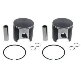 89918 Race-driven 2002 Ski-doo Mxz 800 Sport Rer Piston Kit X2 Teflon Coated By