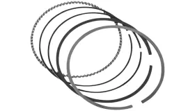 Rp4250vmf Revolution Performance Replacement Ring Set For Monster Big Bore Rp4250vmf Revolution Performance Replacement Ring Set For Monster Big Bore