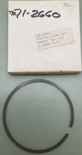 Ft81-ft82 Suzuki 06-6896 New Replaces Piston Ring 1.00mm Os Fits Rm465
