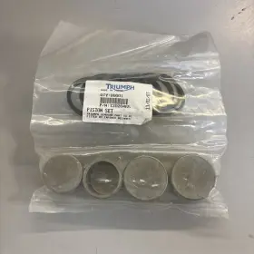 T2020465 Triumph Genuine Piston And Seal Kit New Oem