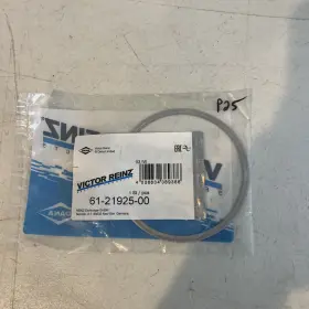 61-21295-00 Victor Reinz 61-21925-00 Piston Ring P25 Nib