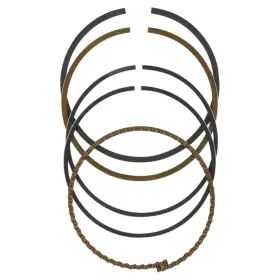 3160-w200898-atv Wiseco Ring Set-67.50mm For 1985-1988 Yamaha Yfm200 Moto-4 Atv 3160-w200898-atv Wiseco Ring Set-67.50mm For 1985-1988 Yamaha Yfm200 Moto-4 Atv