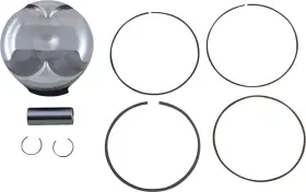 8873db Wossner 94.96mm Pro Series Piston Kit