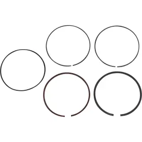 800xtz Wossner Pistons Piston Ring Set For Polaris