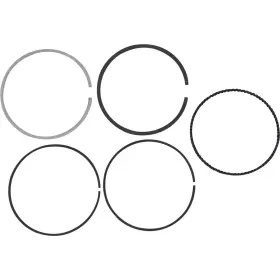 Gnh93.00 Wossner Pistons Piston Ring Set For Polaris Gnh93.00 Wossner Pistons Piston Ring Set For Polaris