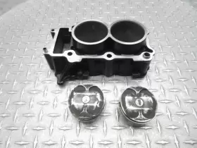 2ms-e1631-00-00 Yamaha 2017 15-18 Yzfr3 R3 Cylinder Barrel Jug Piston Engine Motor Oem