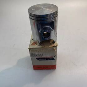 Yamaha 463-11631-01-96 1975-1996 Rs100 Rx100 Rxs100 Standard Piston Nos