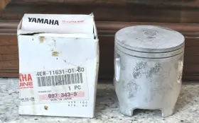 4ew-11631-01-b0 Yamaha New Nos Oem Std Piston 93-95 Yz250 94-97 Wr250
