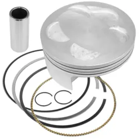 5tg-11631-10-00 Yamaha 5tg-11631-10 Genuine Nos Piston Std