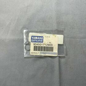 Yamaha 93450-17129-00 It200 Banshee Enticer Yz250 Crankshaft Piston Circlip Qty