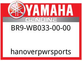 Yamaha Br9-wb033-00-00 Oem Part Piston Re-built Kit