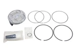 New Oem Yamaha B2W-116A0-00-00 Piston Rebuild Kit Nos. Price: $154.94.