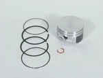 New Briggs And Stratton Oem Piston Assembly Part Number 793647. Price: $155.99.