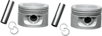 Drag Specialties Evolution Piston 750739-BX-LB1 For Replacement New. Price: $117.61.