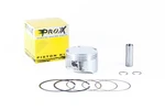 Pro X Piston Kit 01.1495.000 New. Price: $134.65.