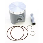 Vertex Piston Kit 22809B New. Price: $170.96.