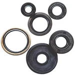 Vertex Engine Oil Seal Set 822121 New. Price: $17.48.