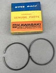 Rr 2.49 New Oem Kawasaki Piston Ring Set / Std 13003-029 G31M 100. Price: $27.95.